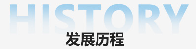 发展历程